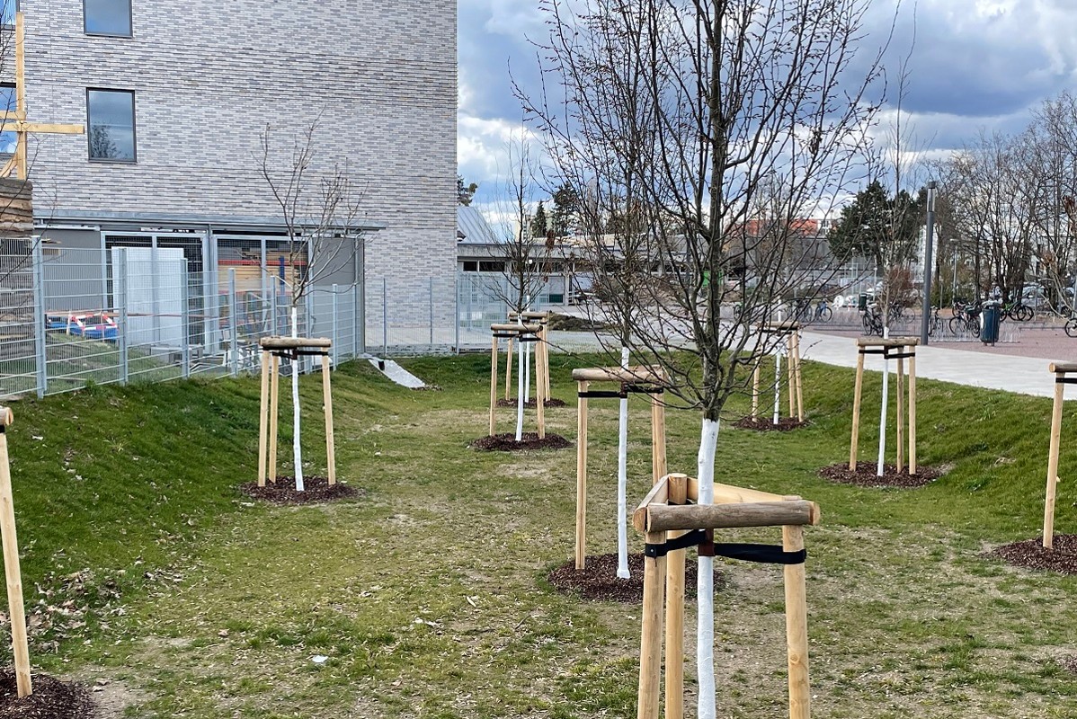 Versickerungsmulde mit Bäumen neben Neubau