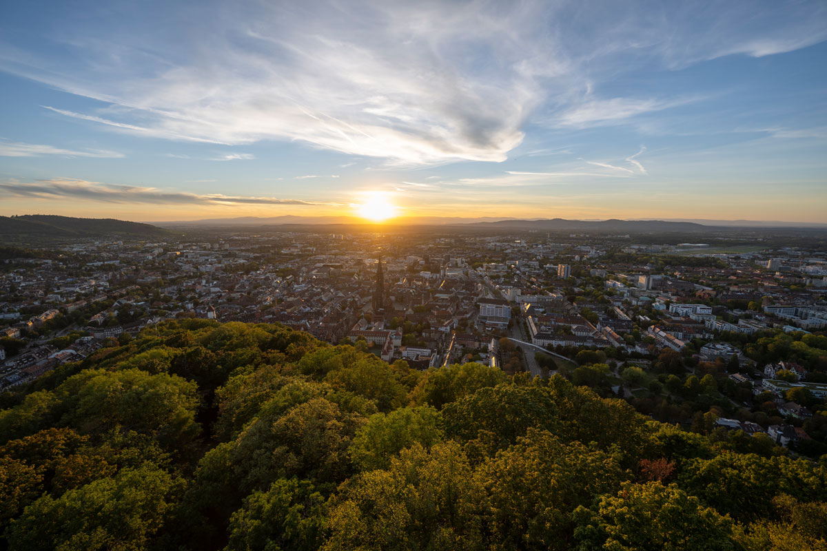 Blick über Freiburg