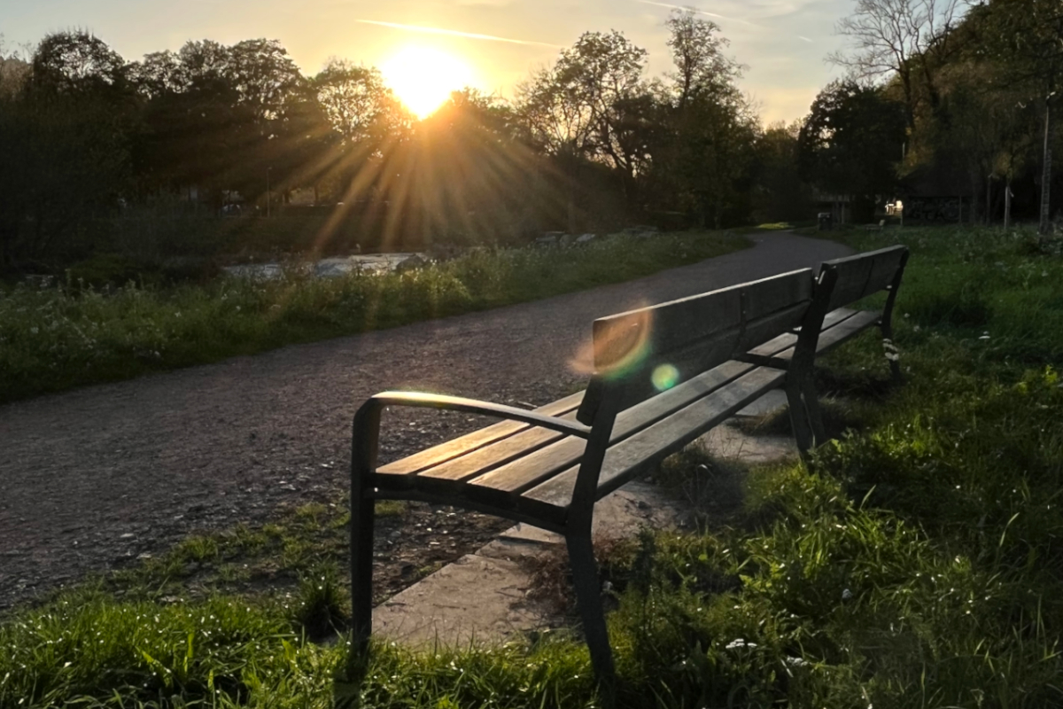 Parkbank im Sonnenuntergang