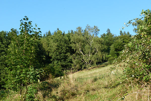 Naturschutz
