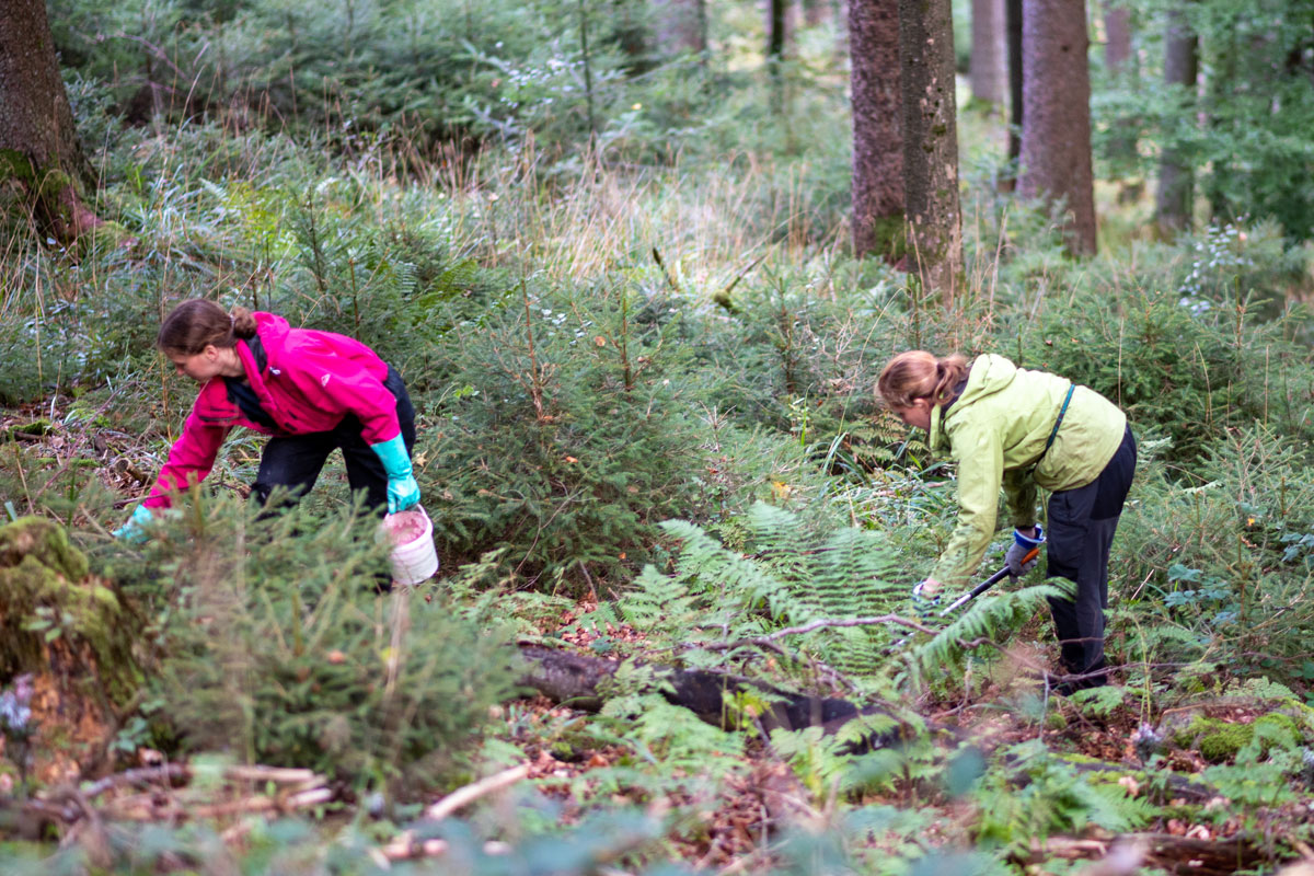 Zwei Personen suchen im Wald nach Müll
