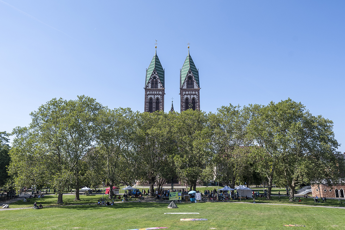 Im Vordergrund grüne Wiese mit Bäumen, im Hintergrund die Kirche