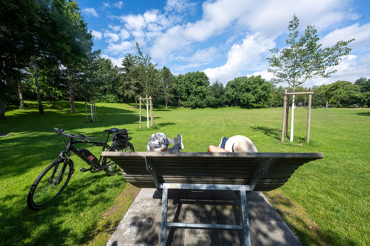 HImmelsliege im Eschholzpark mit Blick auf die große Wiese