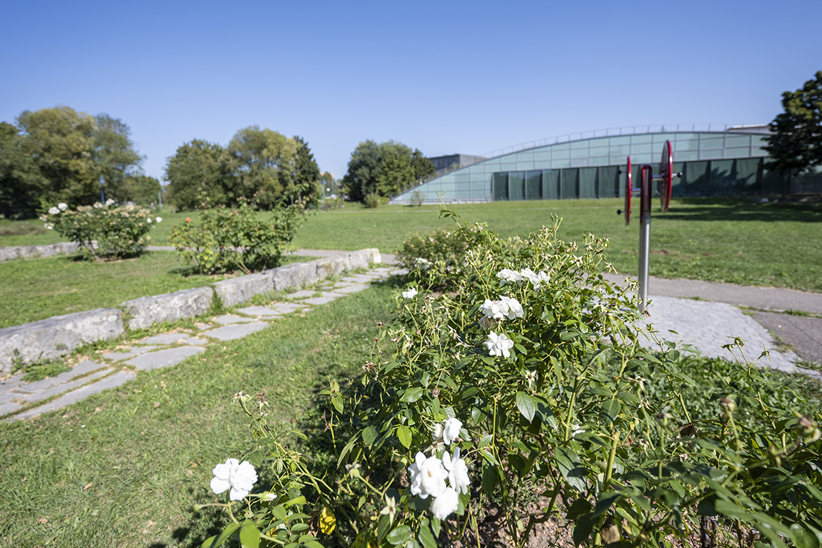 Blumenbeete im Vordergrund; im Hintegrund Freifläche