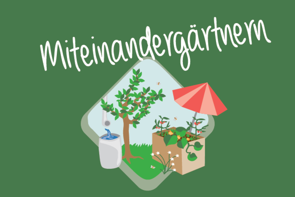 miteinander gärtnern Garten mit Baum, Regenwassertonne, Hochbeet und Sonnenschirm