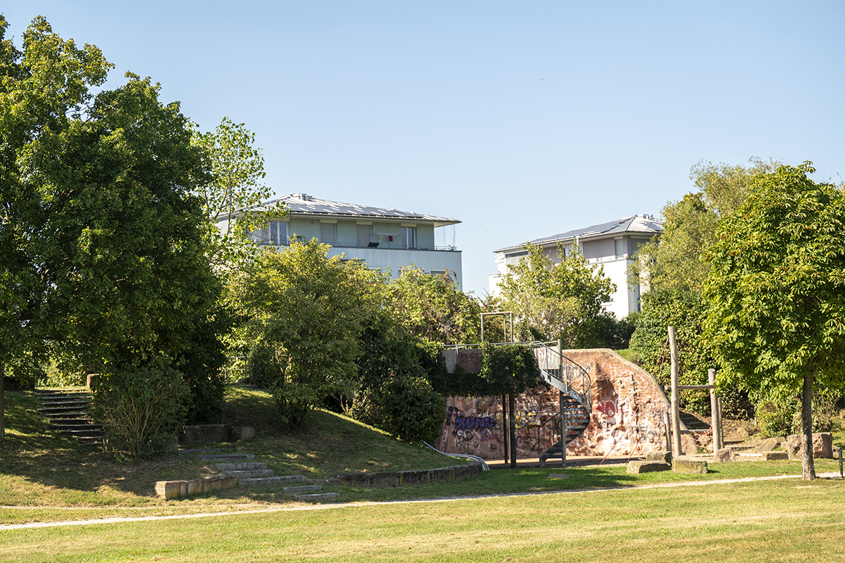 Grünfläche, im Hintergrund ein Spielplatz und Häuser