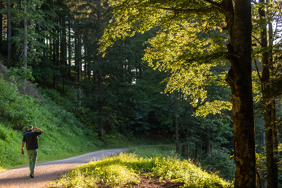 Waldspaziergänger
