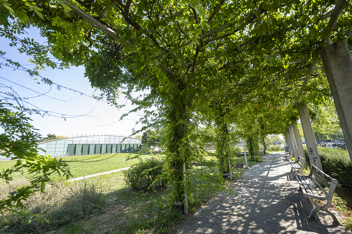 Mit Ästen überwachsene Pergola; rechts im Bild Bänke; links im Bild Freifläche