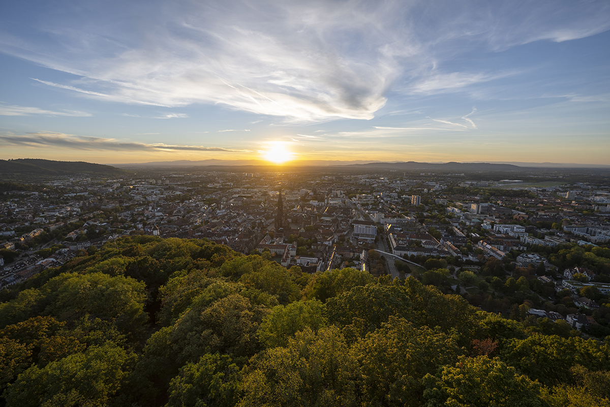 Stadtansicht vom Schlossberg aus; im Vordergrund viele Bäume, im Hintergrund die Stadt Freiburg