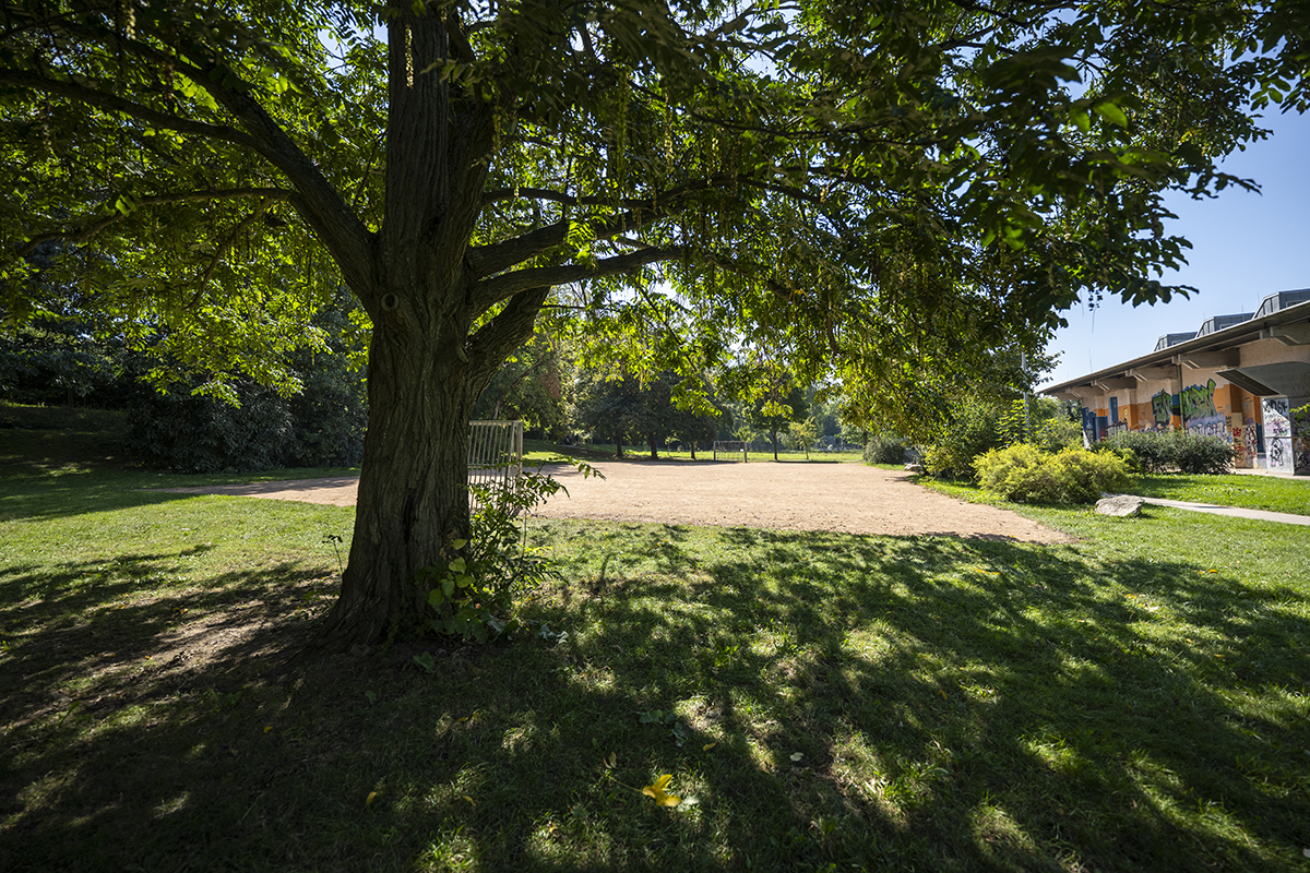 Bolzplatz umrandet von einer grünen Wiese