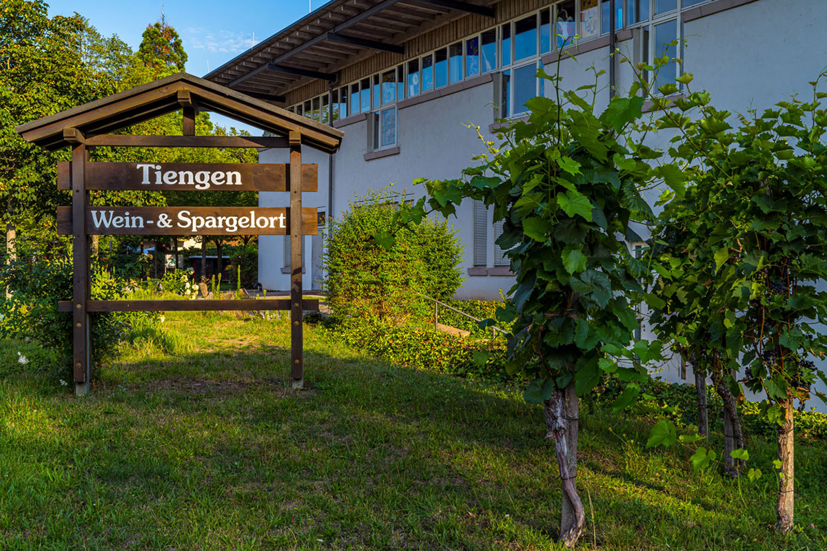 Tiengen Tiengen