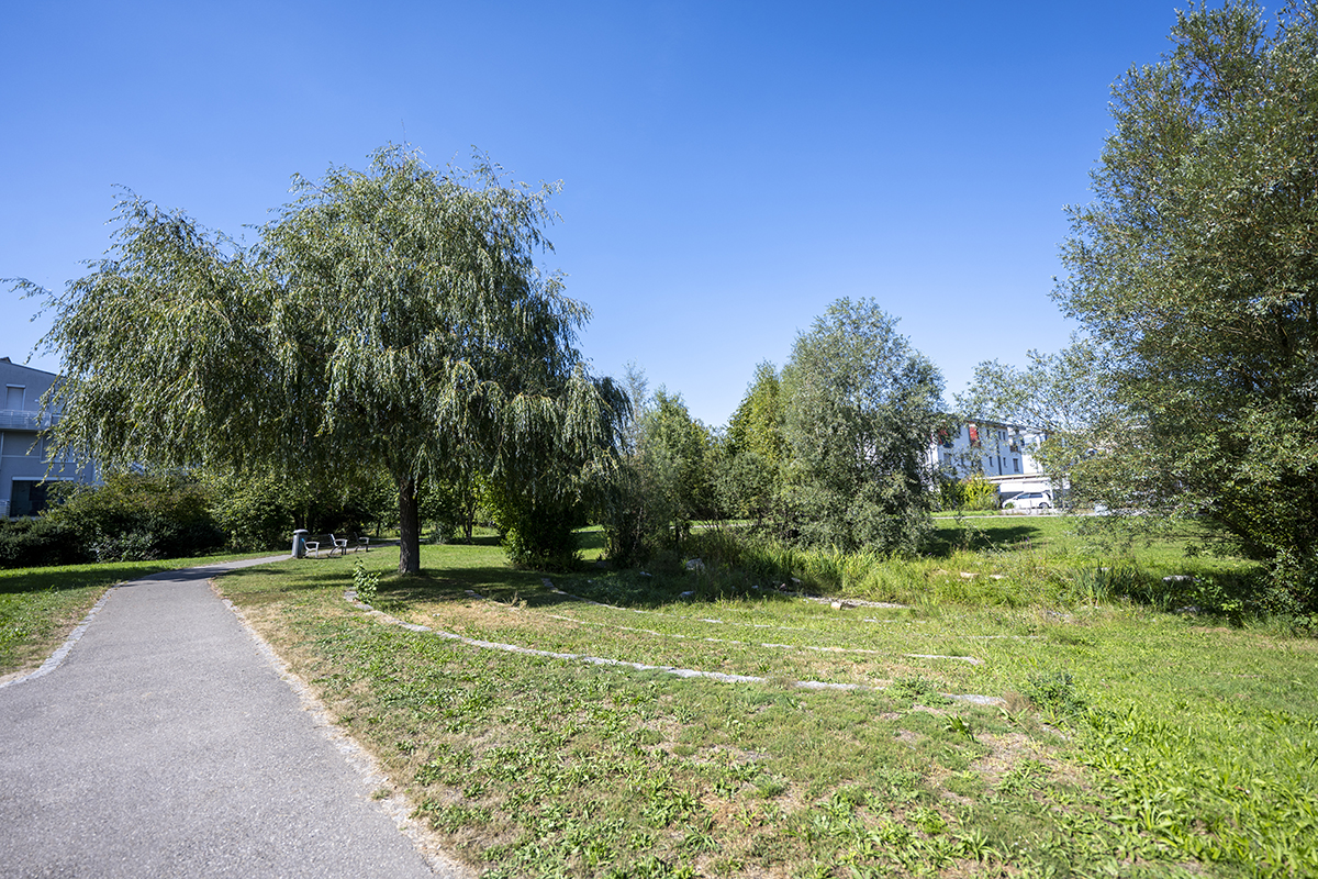Ein Weg, der durch eine Grünanlage führt, Bäume; im Hintergrund Wohngebiet