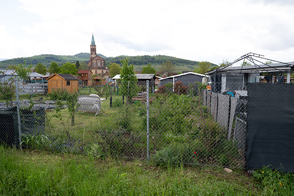 Mehrere Kleingärten nebeneinander
