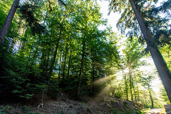 Umwelt & Natur